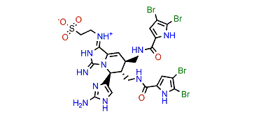 Nagelamide K